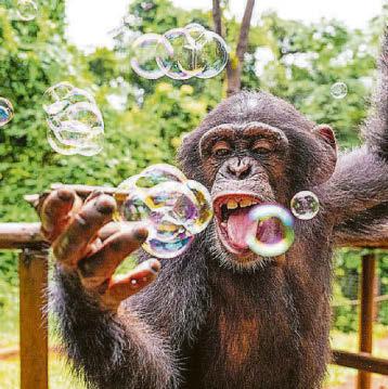 Bubble and eek