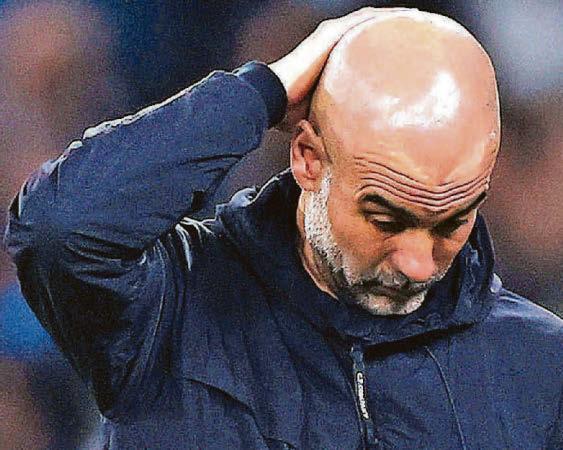 PEP LOST IN FOREST