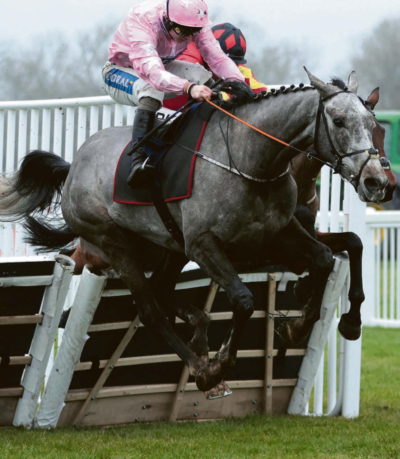 Stars align for Murphy's Scorpio to land fourth win in row