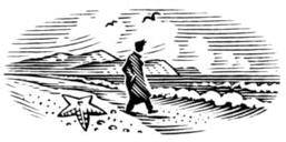 BEACHCOMBER 108 YEARS OLD BUT DEMANDING A RECOUNT...