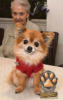 Milestone for caring canine