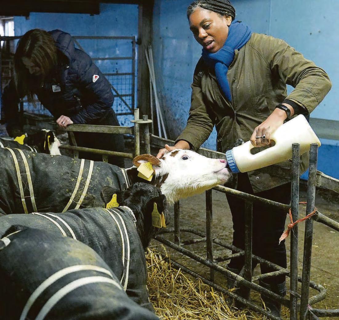 'Starmer tried to block Brexit 48 times... I'm committed to fight for our freedoms'