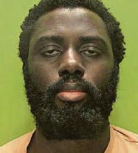 Families: Release Calocane full report