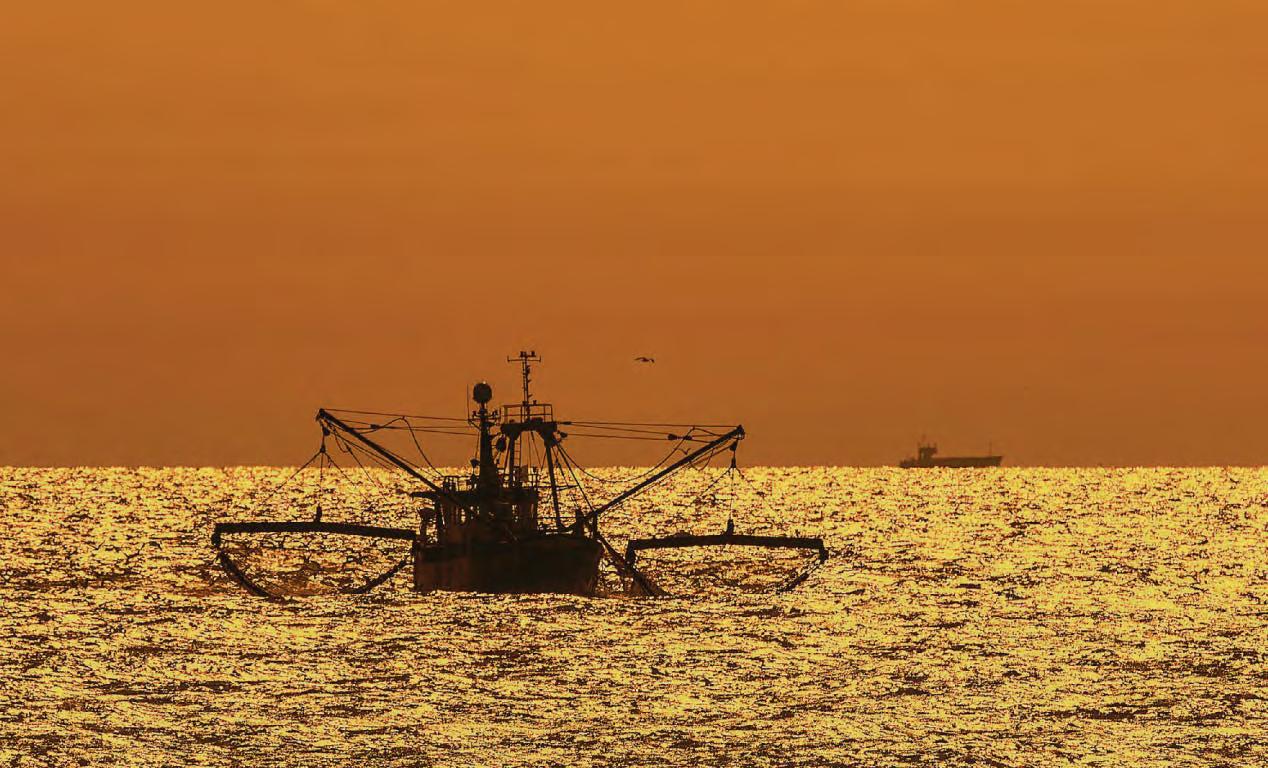 'Brexit betrayal leaves marine life in danger'