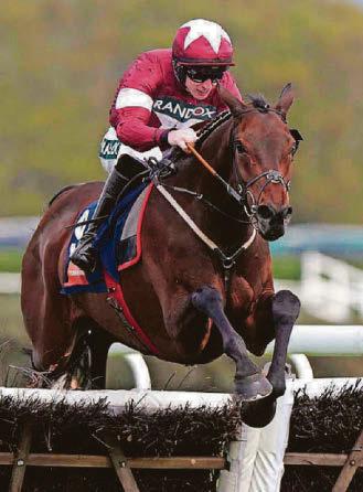 Brighter to tackle Hill
