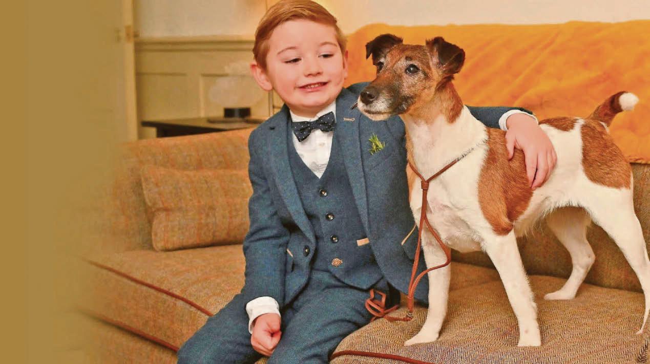 Freddie's bid to be top dog at Crufts aged 6