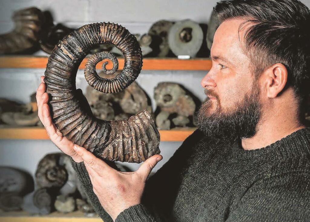 I gave up my job to be a fossil hunter ...now I earn £40k a year from my hobby