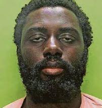 Watchdog to look at Calocane