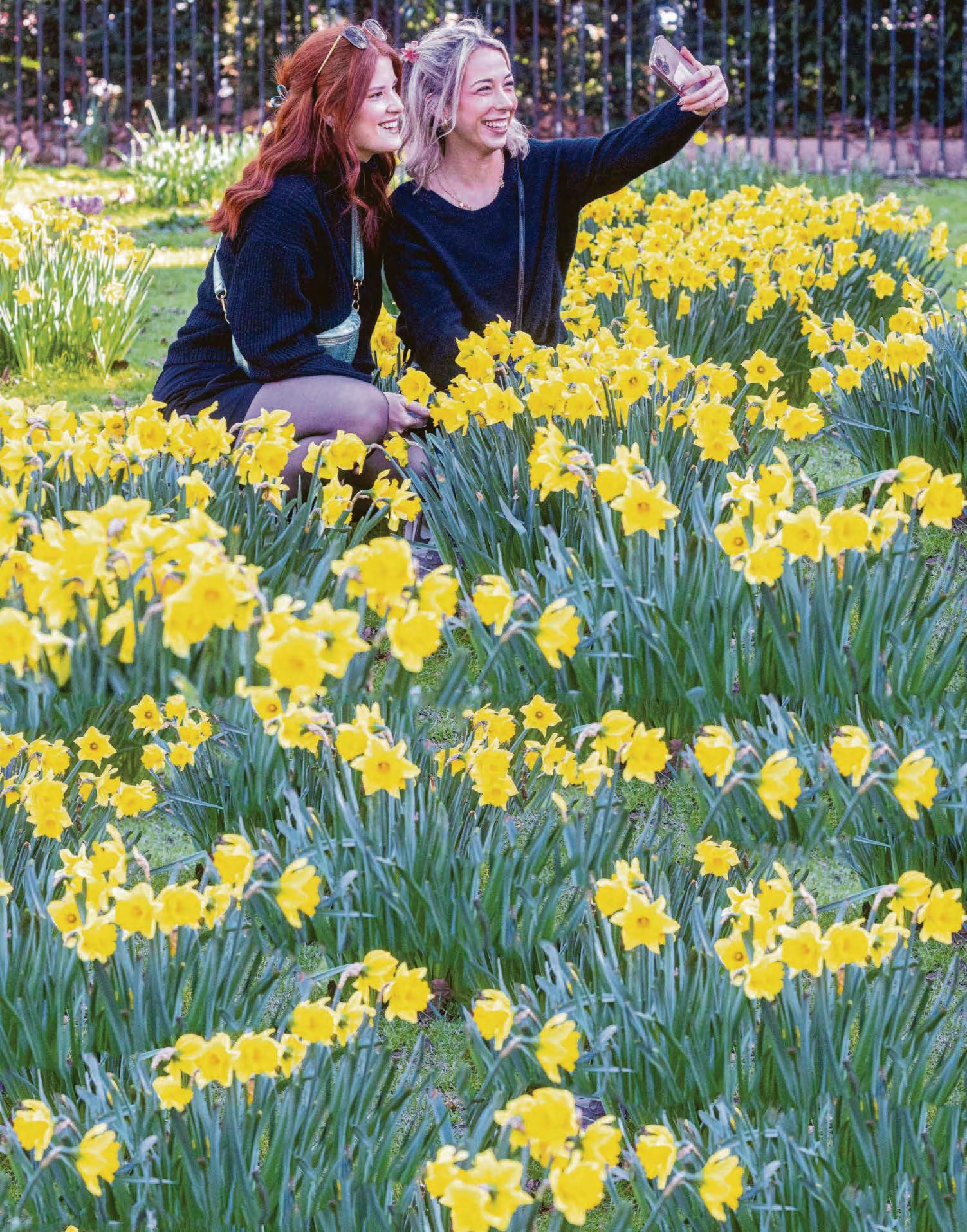 And the forecast is... sunshine and flowers