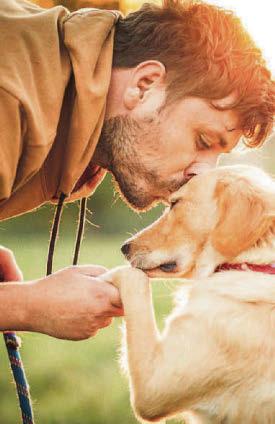 Dog owners often fail to read best pal's cues