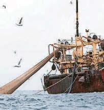'Ban these boats from protected sea sites'