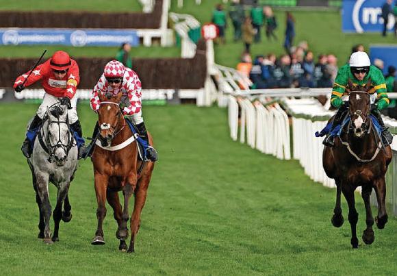 Jango leaves it late to grab Arkle Trophy glory