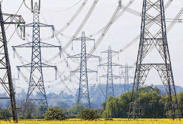 Our countryside is under threat from the fad of net zero
