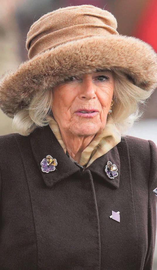 CARING QUEEN'S SUPPORT FOR RAPE SURVIVOR GISELE