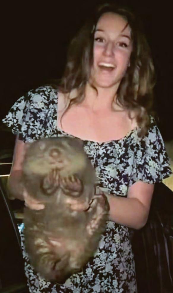 Woman who took baby wombat flees Australia