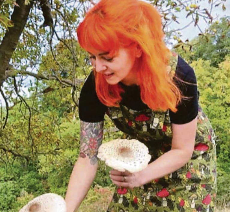Visit from police after foraging for mushrooms