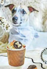 Celebrate your dog by throwing a pup party