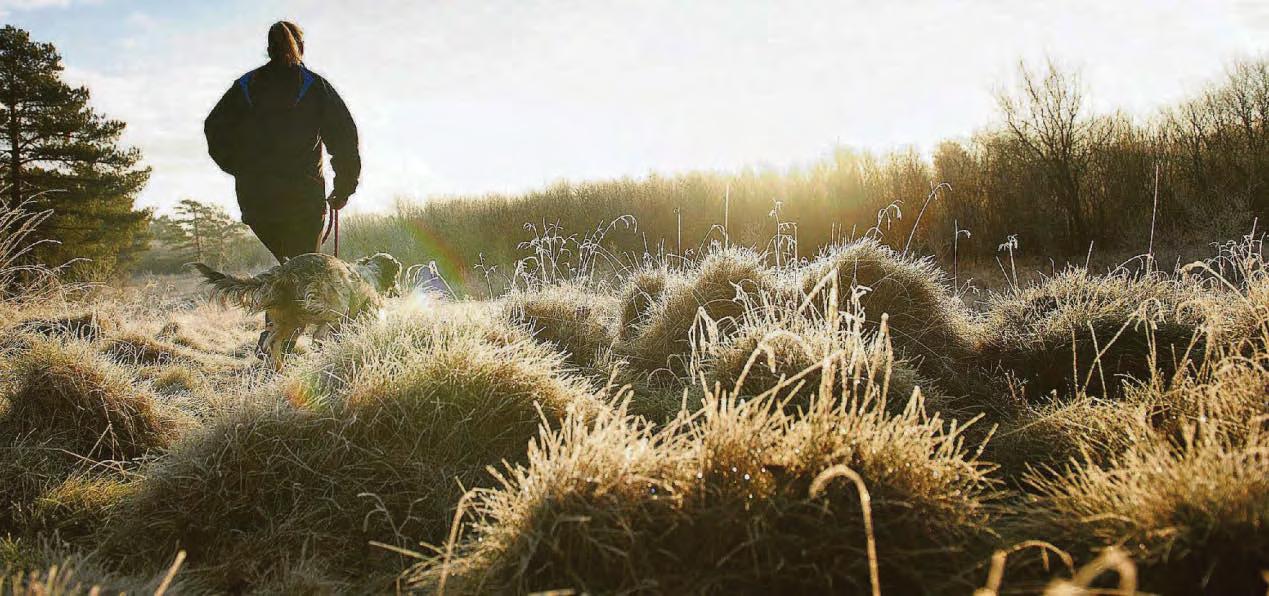 Nitrogen fertilisers on grasslands may trigger hay fever Substances 'cause pollen spike'