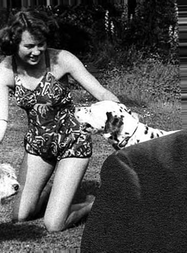 WARTIME LETTERS OF LOVE AND LOSS