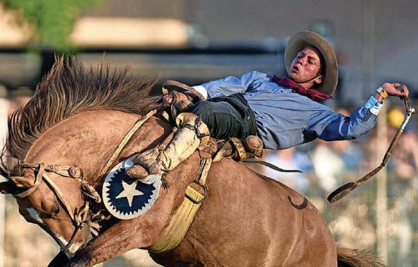 Ollie back for Lions hunt