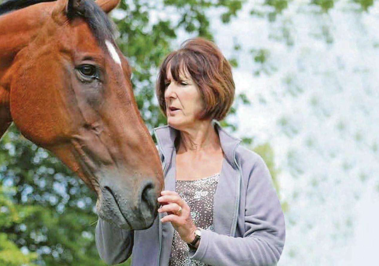 Ex-nurse convicted over 'horse killing' bid with rat poison