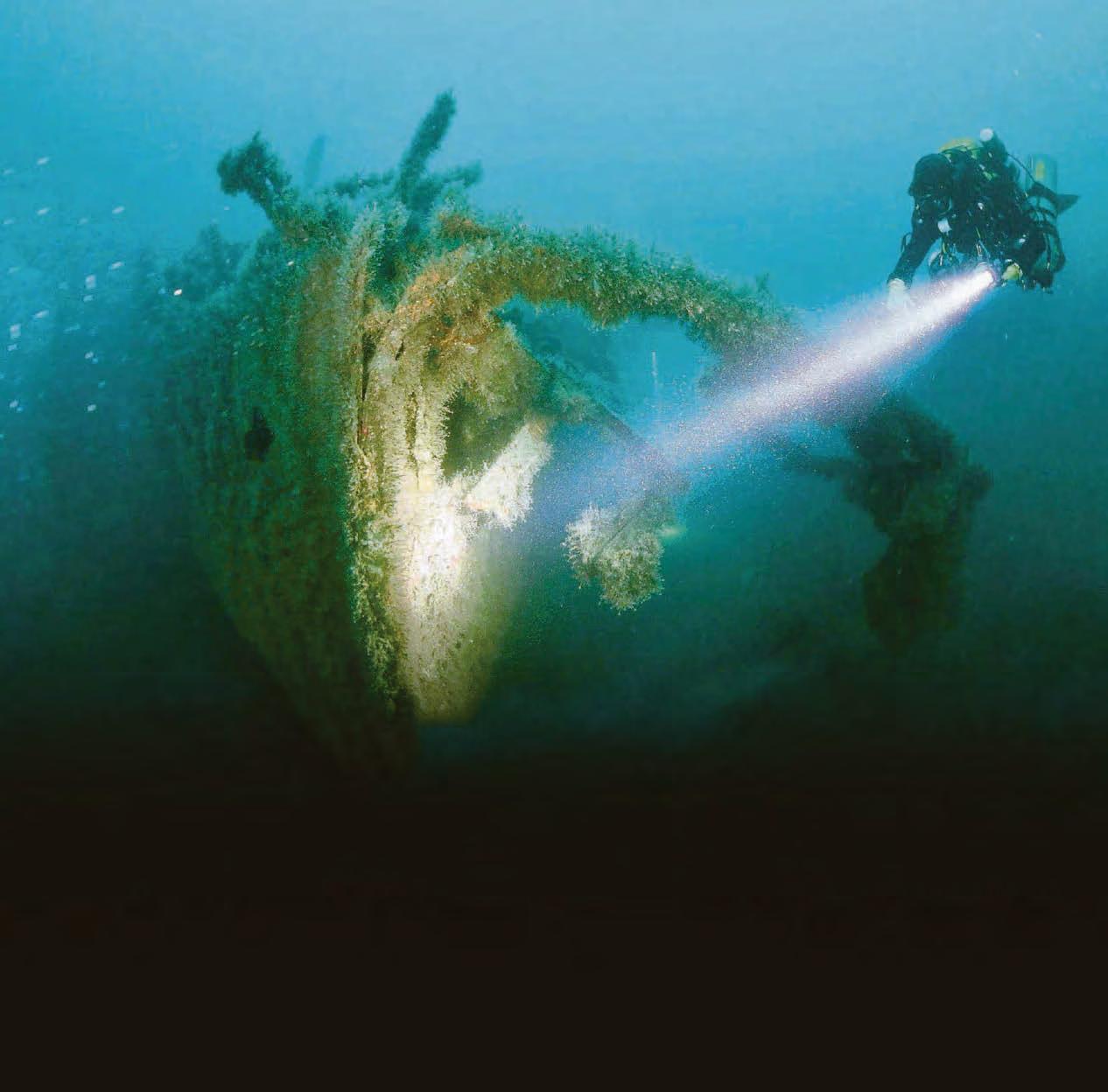 I saw shipwreck for sale so dived right in