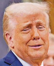Ride Trump rollercoaster
