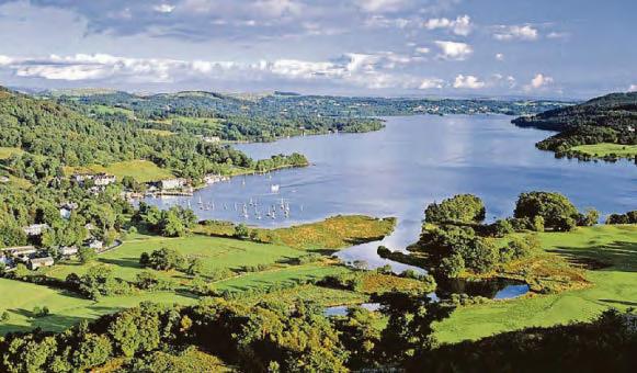 Hunt for mystery killer decimating Windermere's Ice Age relic fish