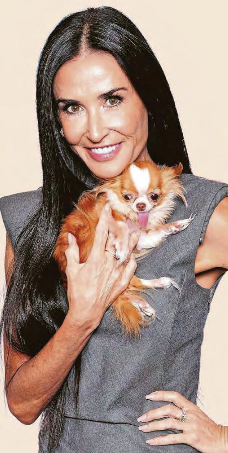 Trans-trums by sore losers