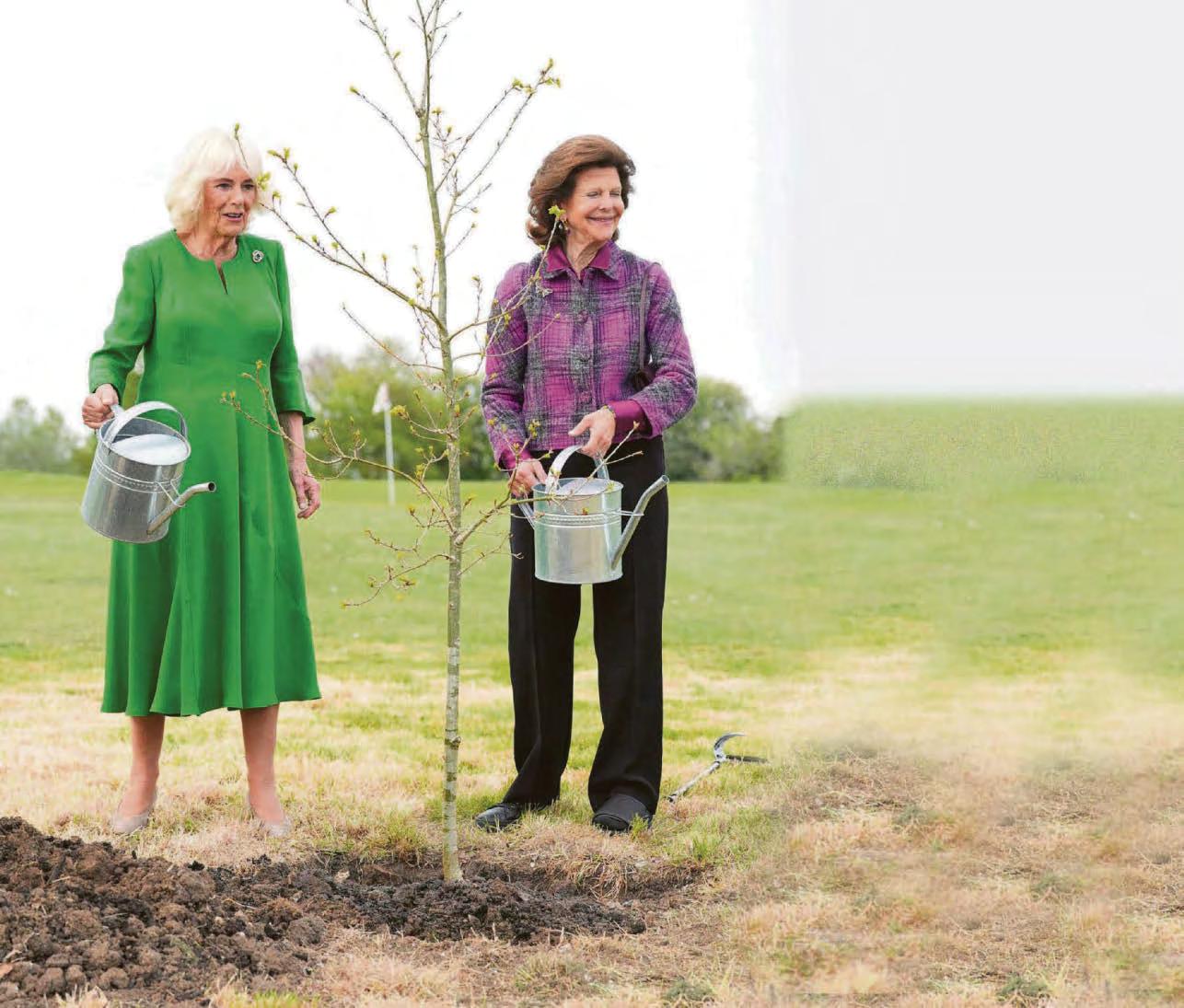Down-to-earth Royal couples grow together