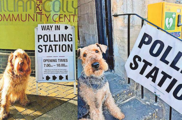 Dogged by Reform, the Tories need to do a good deal fast