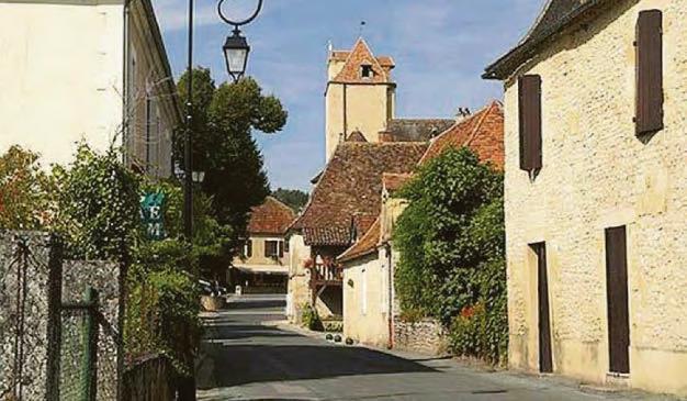 British mum, 65, killed in 'frenzied' stabbing at French home