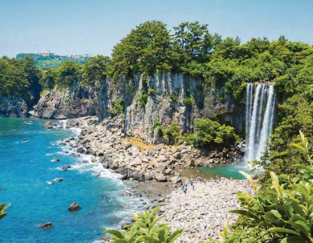 CALIFORNIA DREAMIN'... NO MORE