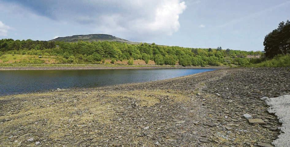 Summer drought fears after driest spring since 1956