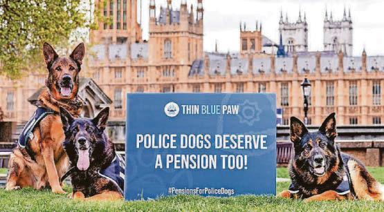 Battle to give retired police dogs pensions