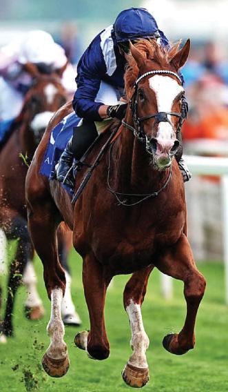 ECO INJURY SETBACK