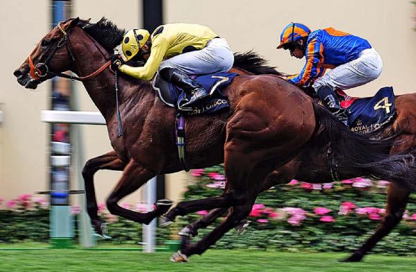 Lion to be the pride of Ascot