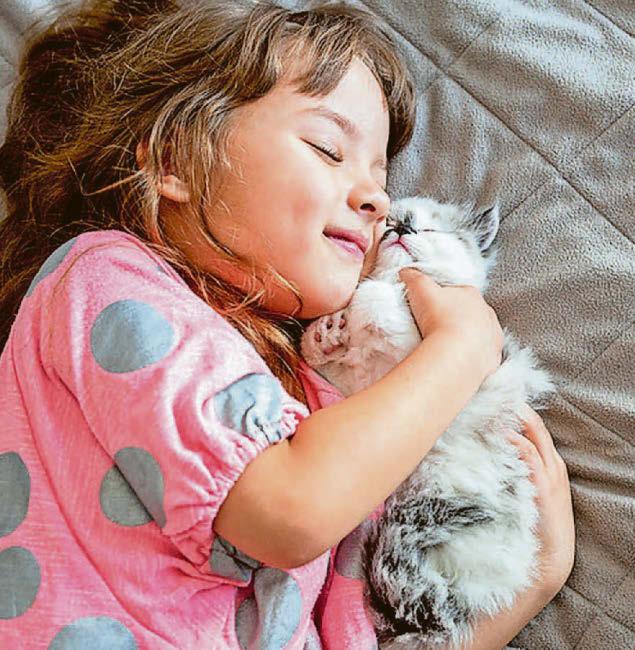 Kitty cuddle worm worry