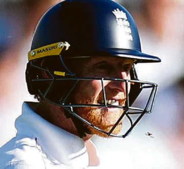 Ladybirds putting cricketers to test but it's good news