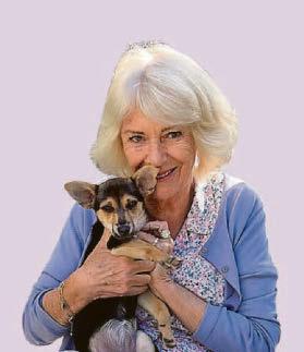 Puppy love at first sight for smitten Camilla