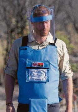 Harry to retrace Di 'minefield' walk