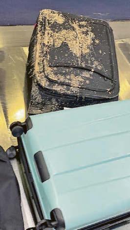Luggage arrived 'covered in faeces'