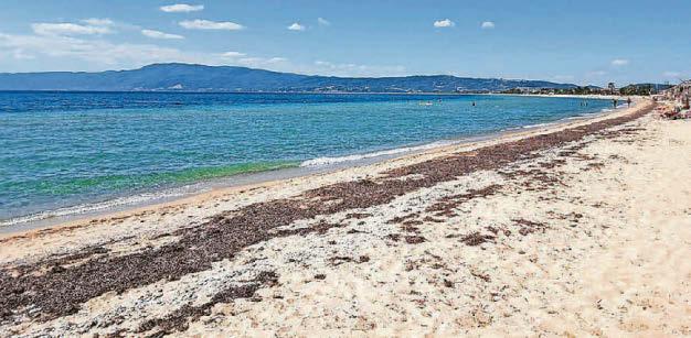 Hopes fade for British expat who vanished from Greek beach