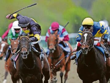Horse racing’s strike over tax