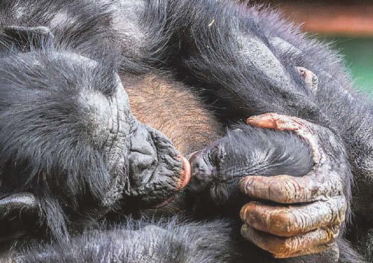 First birth is truly special for mum Yuli