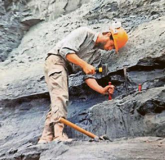 'Sword dragon' of the Jurassic Coast