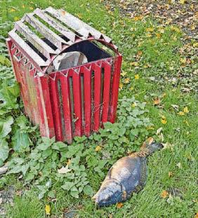 Dismay at fishing lake ‘left to decay’ after anglers ban