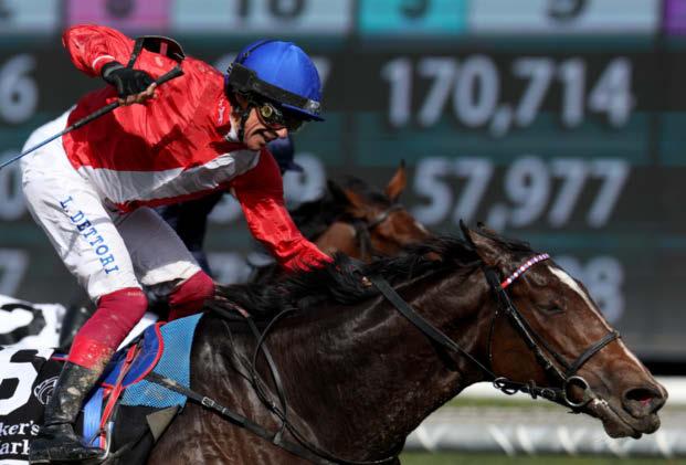 FRANKIE TO BOW OUT AT CUP