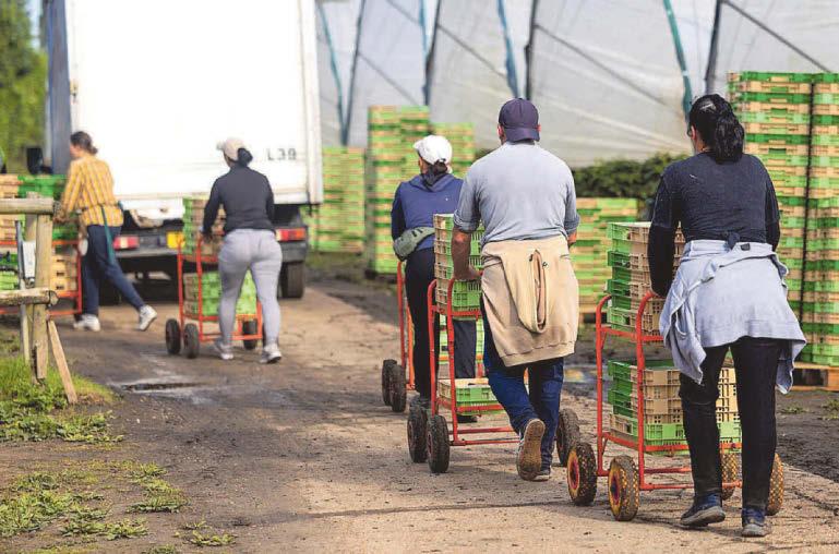 Tough choices for a country already squeezed dry...
