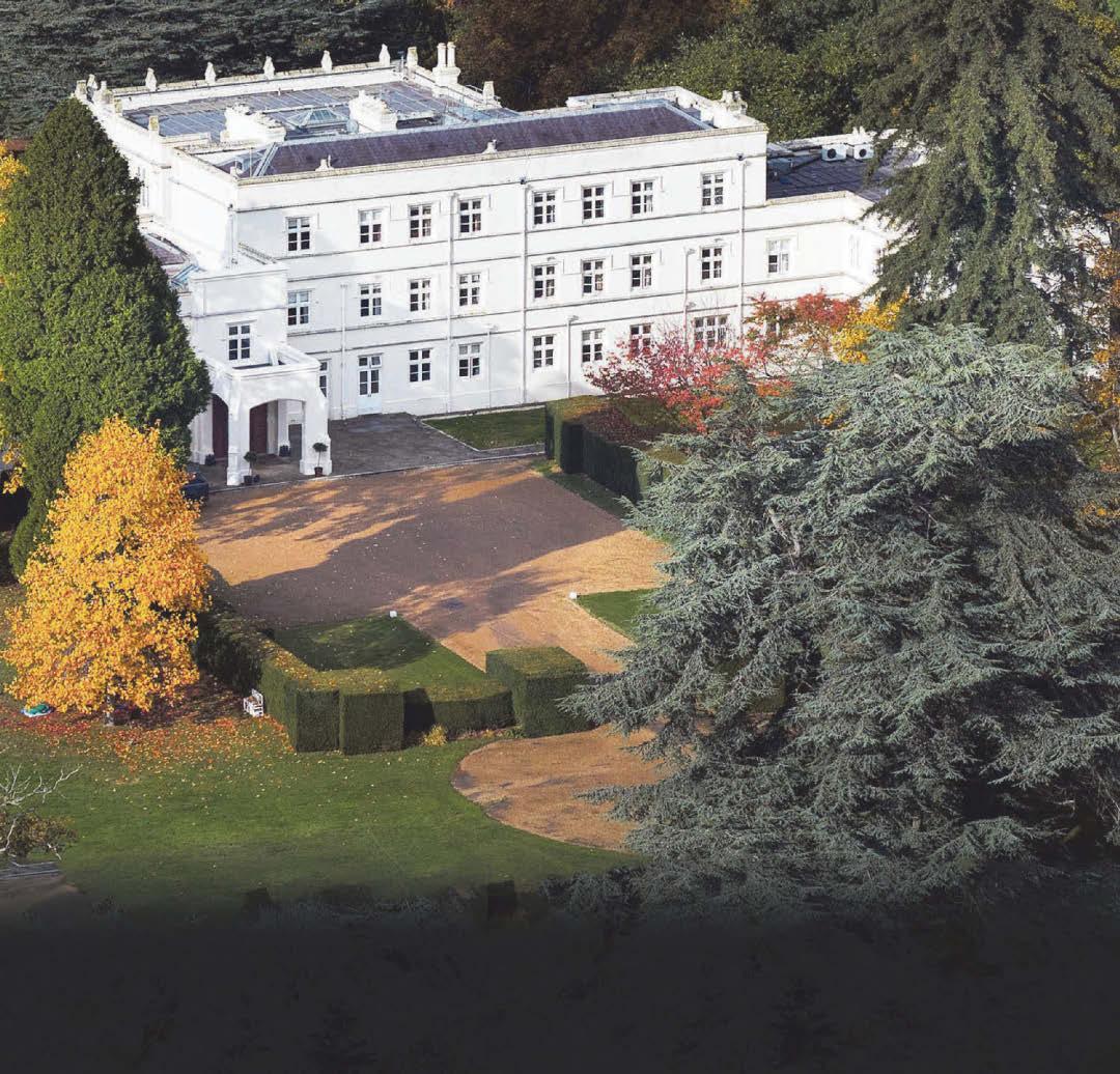 KING REMOVES 'STYLE, TITLES AND HONOURS' FROM BROTHER